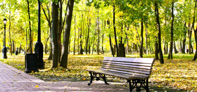 Empty wooden park bench in autumn illustrating loss