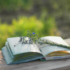 Linum flowers on open book